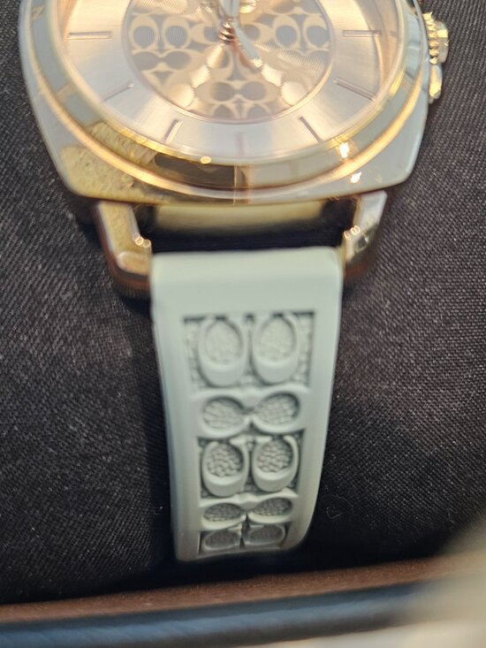 Ladies Boyfriend Coach Watch ⌚️ main image 9